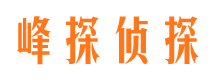 巢湖峰探私家侦探公司